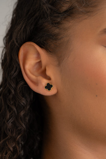 Combo de lujo Trebol